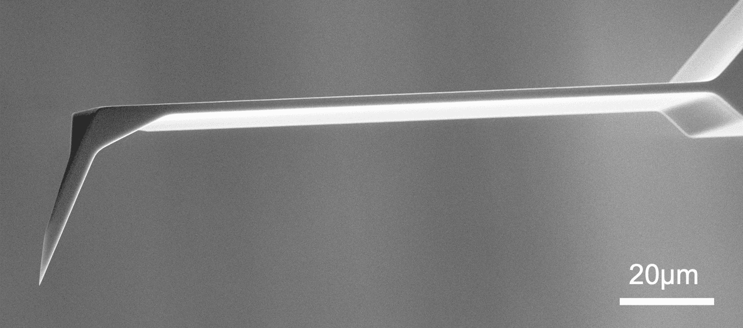 SEM full-view image of Vmicro LT040 Al-Si 30 AFM probe showing complete probe geometry