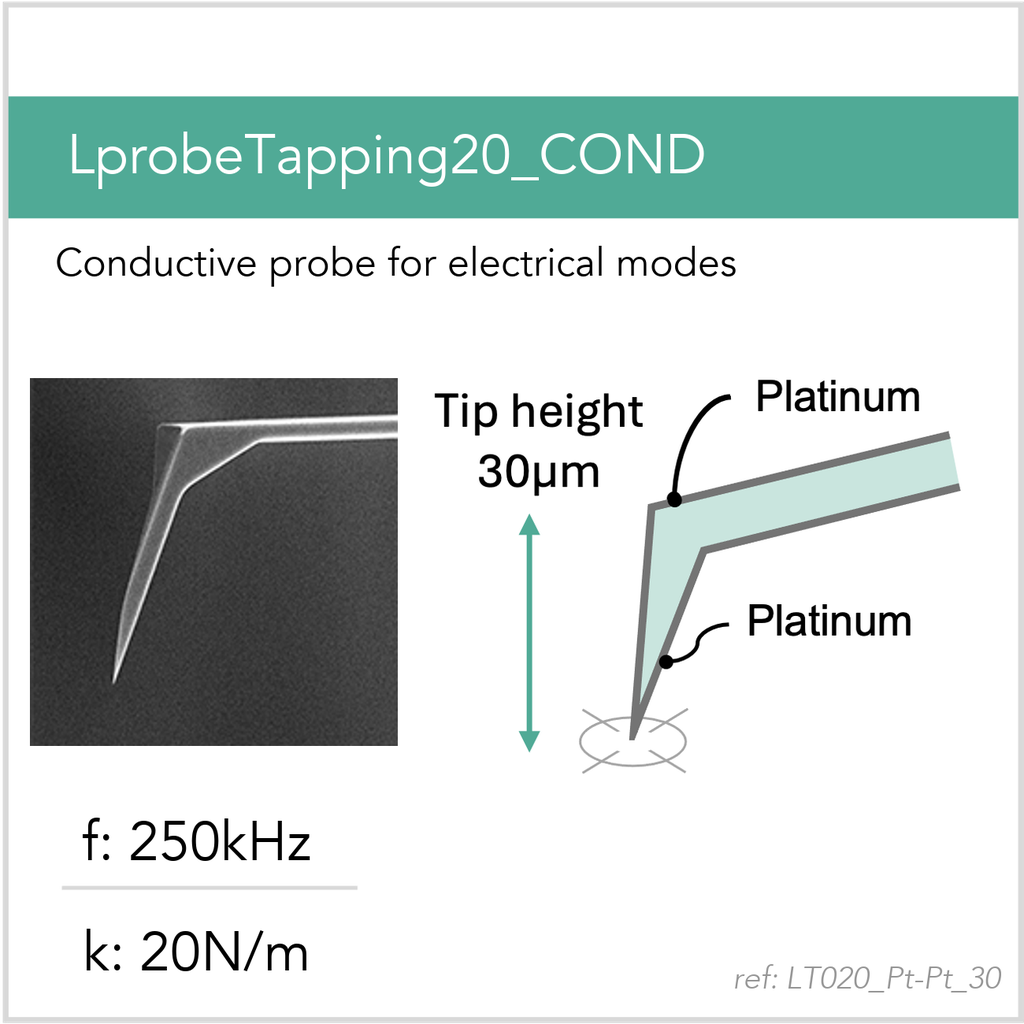 [LT020_Pt-Pt_30_GB10] LprobeTapping20_COND Pt-Pt (GB10)