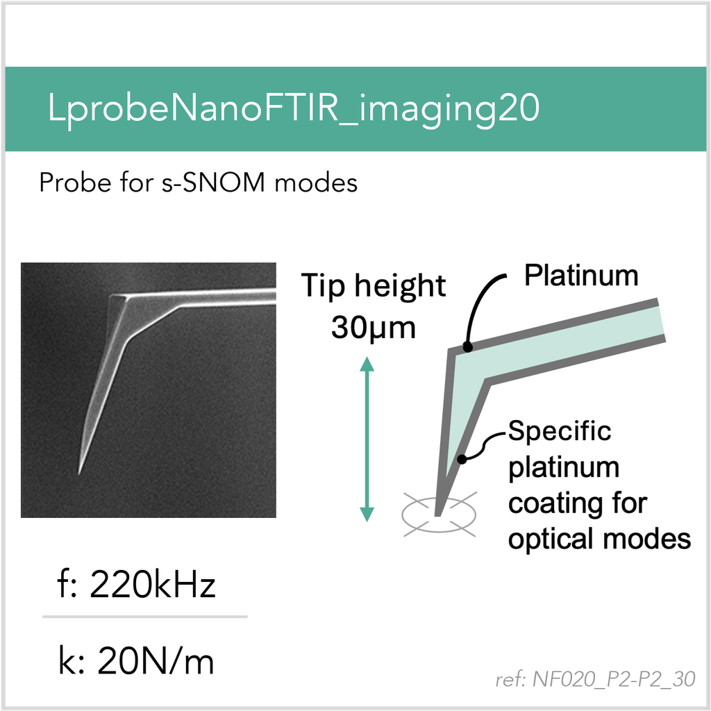[NF020_P2-P2_30_MB10] LprobeNanoFTIR_imaging20 P2-P2