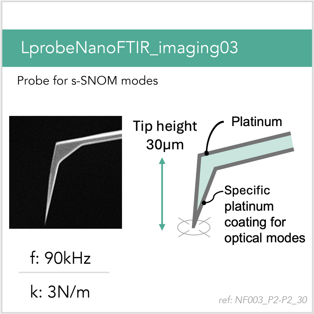 [NF003_P2-P2_30_MB10] LprobeNanoFTIR_imaging03 P2-P2