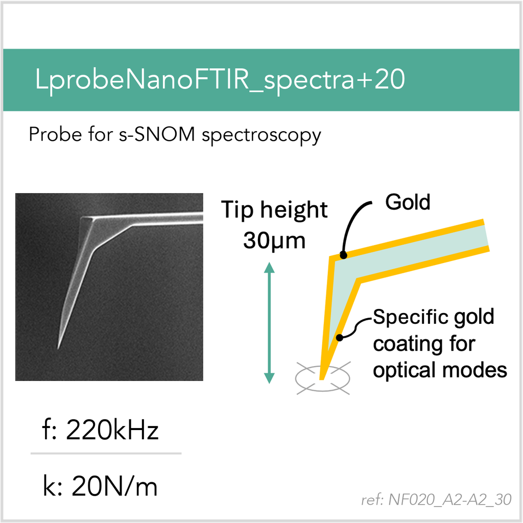 [NF020_A2-A2_30_MB10] LprobeNanoFTIR_spectra+20 A2-A2