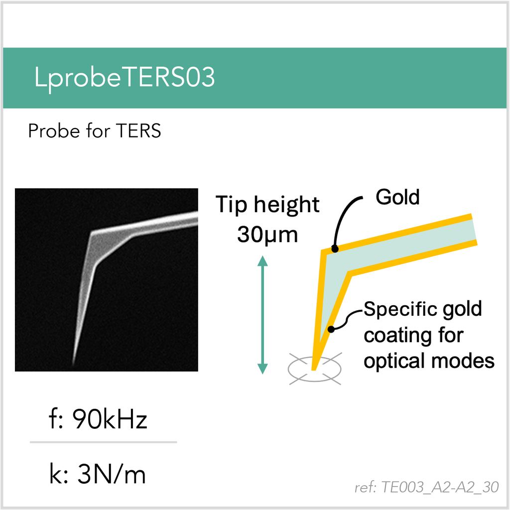 [TE003_A2-A2_30_MB10] LprobeTERS03 A2-A2