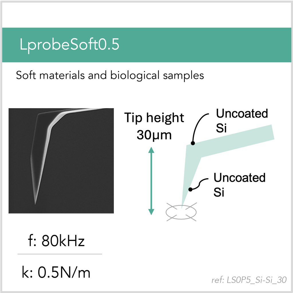 [LS0P5_Si-Si_30_GB10] LprobeSoft0.5 Si-Si (GB10)