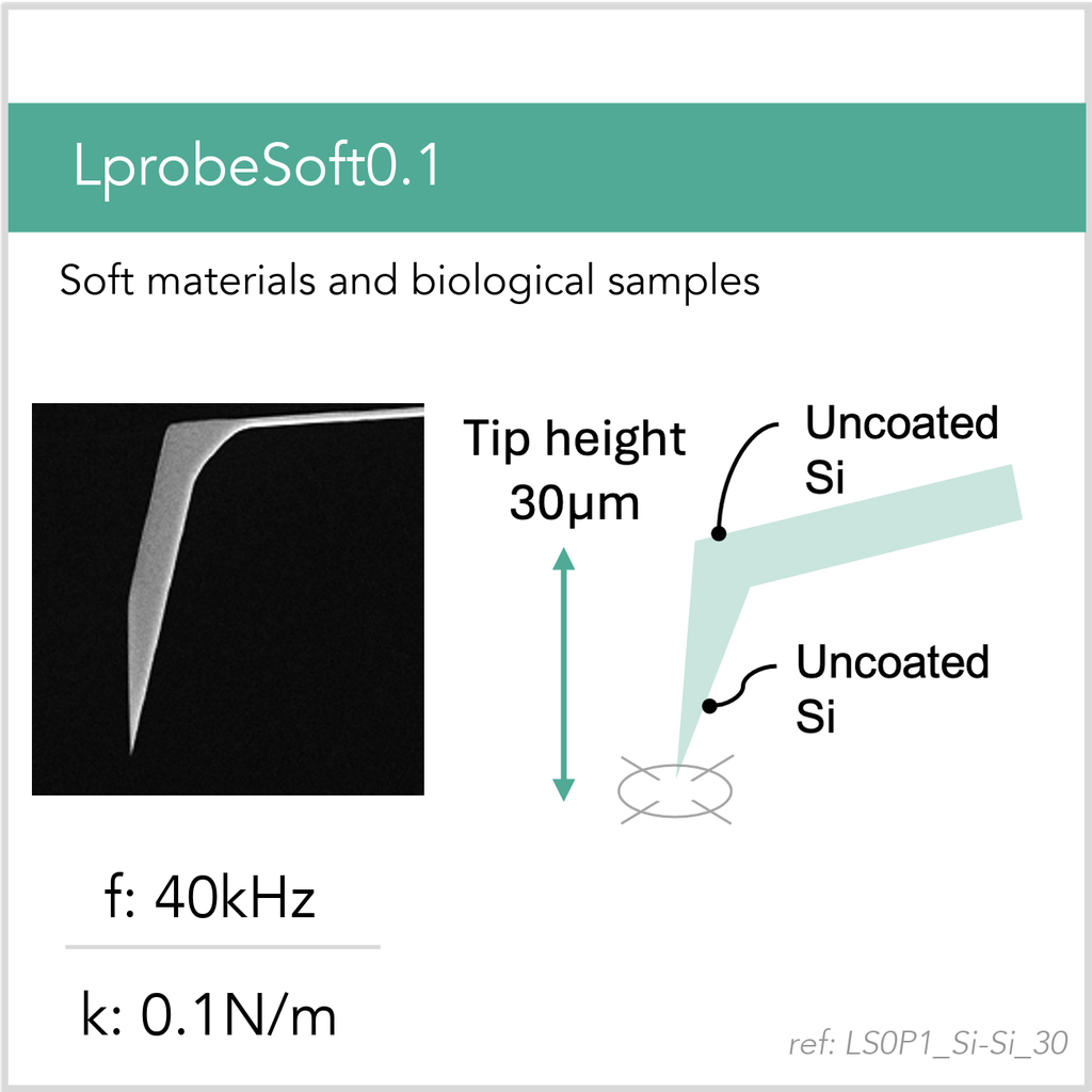 [LS0P1_Si-Si_30_GB10] LprobeSoft0.1 Si-Si (GB10)