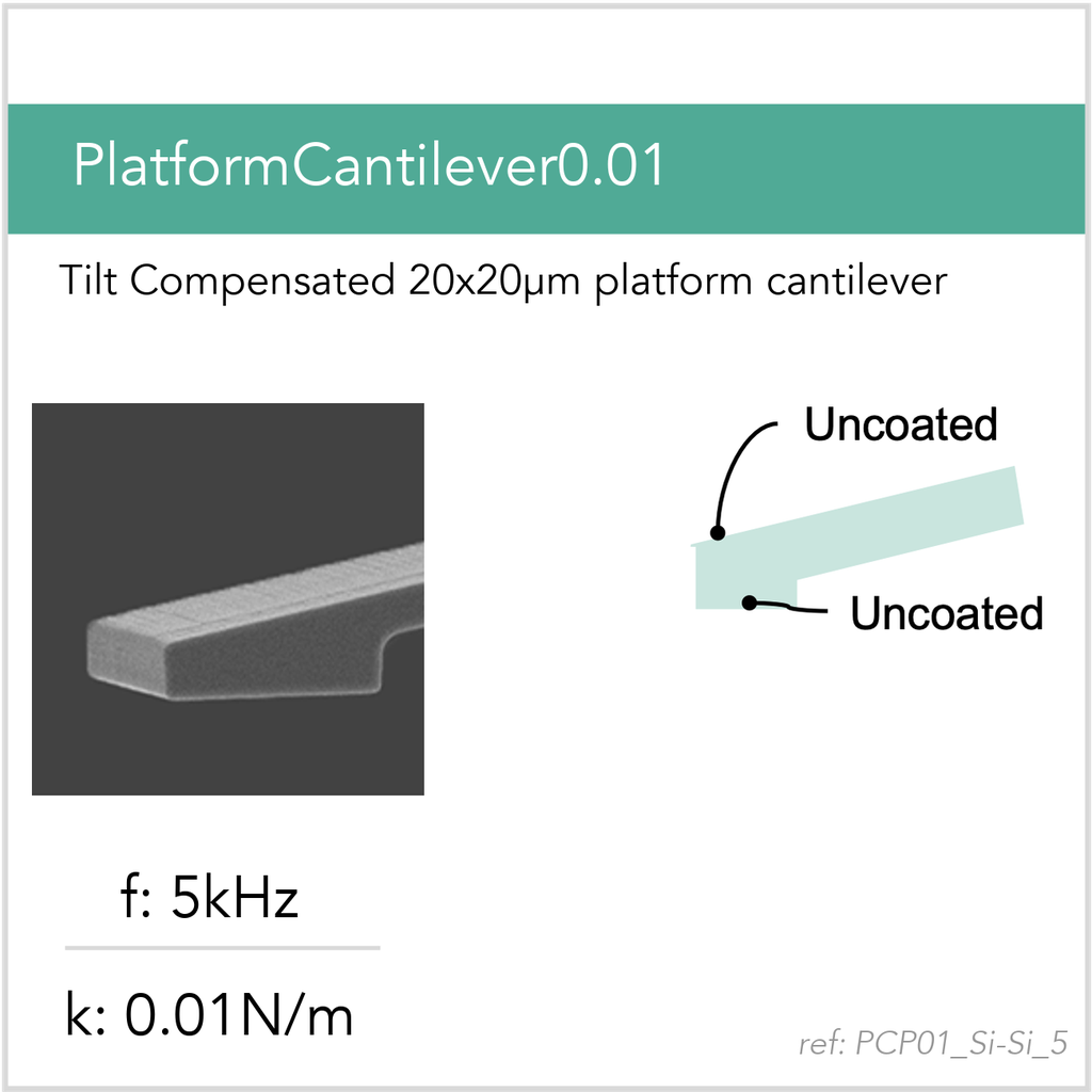 [PCP01_Si-Si_5_GB10] PlatformCantilever0.01 Si-Si (GB10)