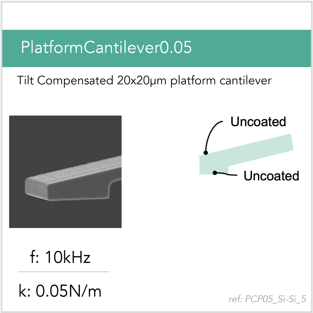 [PCP05_Si-Si_5_GB10] PlatformCantilever0.05 Si-Si (GB10)