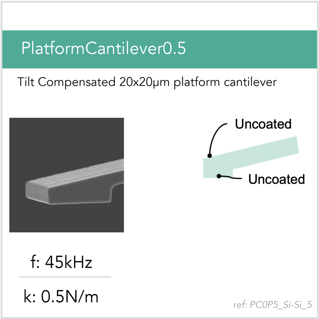 [PC0P5_Si-Si_5_GB10] PlatformCantilever0.5 Si-Si (GB10)