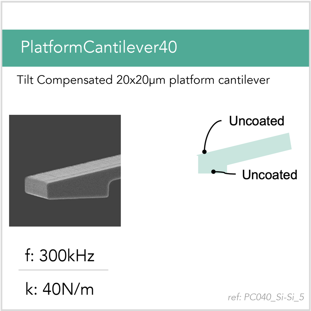 [PC040_Si-Si_5_GB10] PlatformCantilever40 Si-Si (GB10)