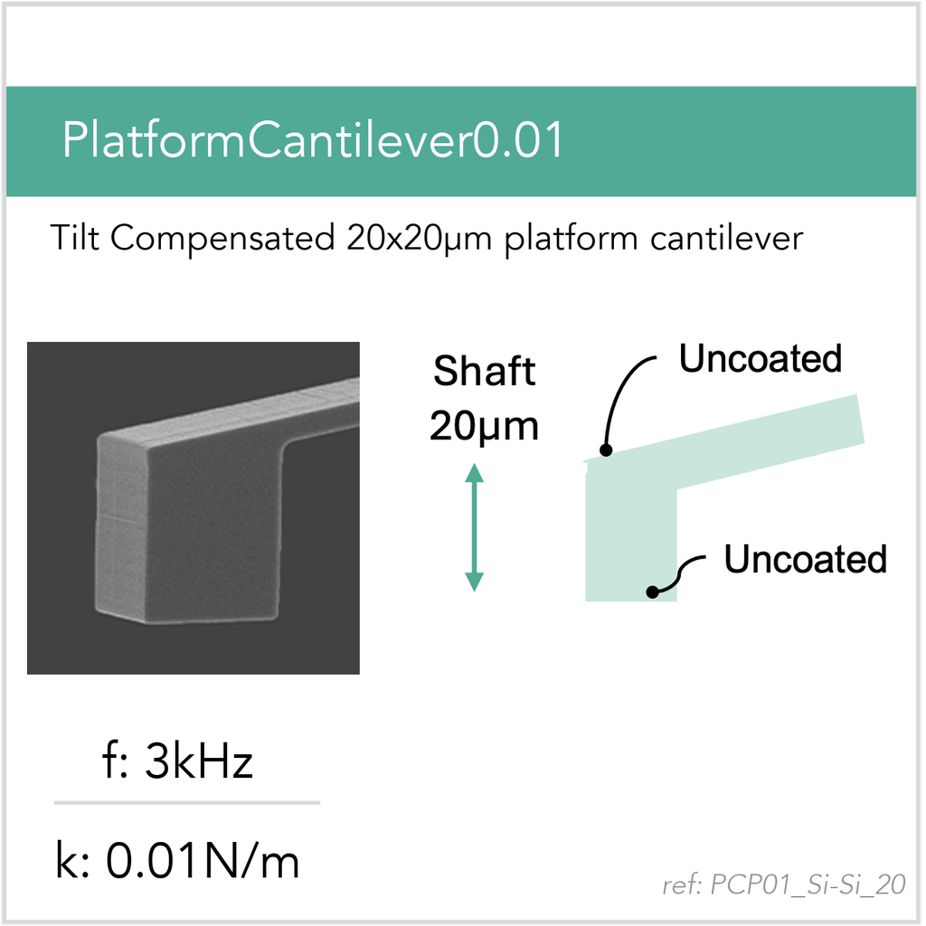 [PCP01_Si-Si_20_GB10] PlatformCantilever0.01 Si-Si (GB10)