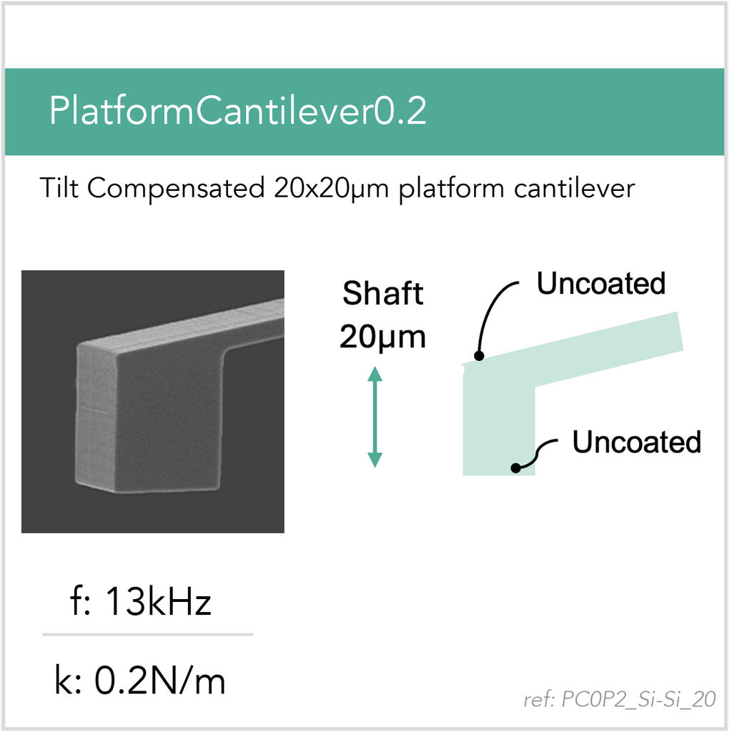 [PC0P2_Si-Si_20_GB10] PlatformCantilever0.2 Si-Si (GB10)