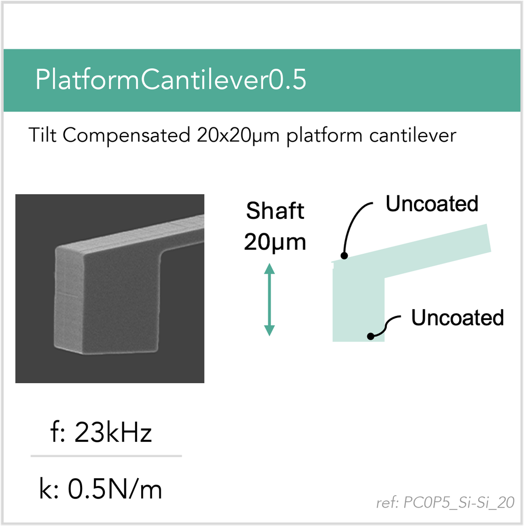 [PC0P5_Si-Si_20_GB10] PlatformCantilever0.5 Si-Si (GB10)