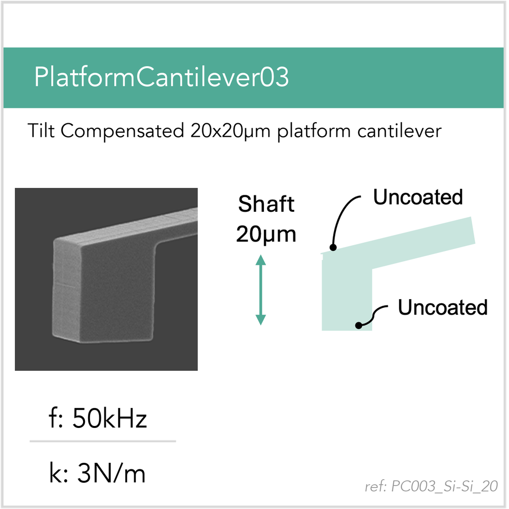 [PC003_Si-Si_20_GB10] PlatformCantilever03 Si-Si (GB10)