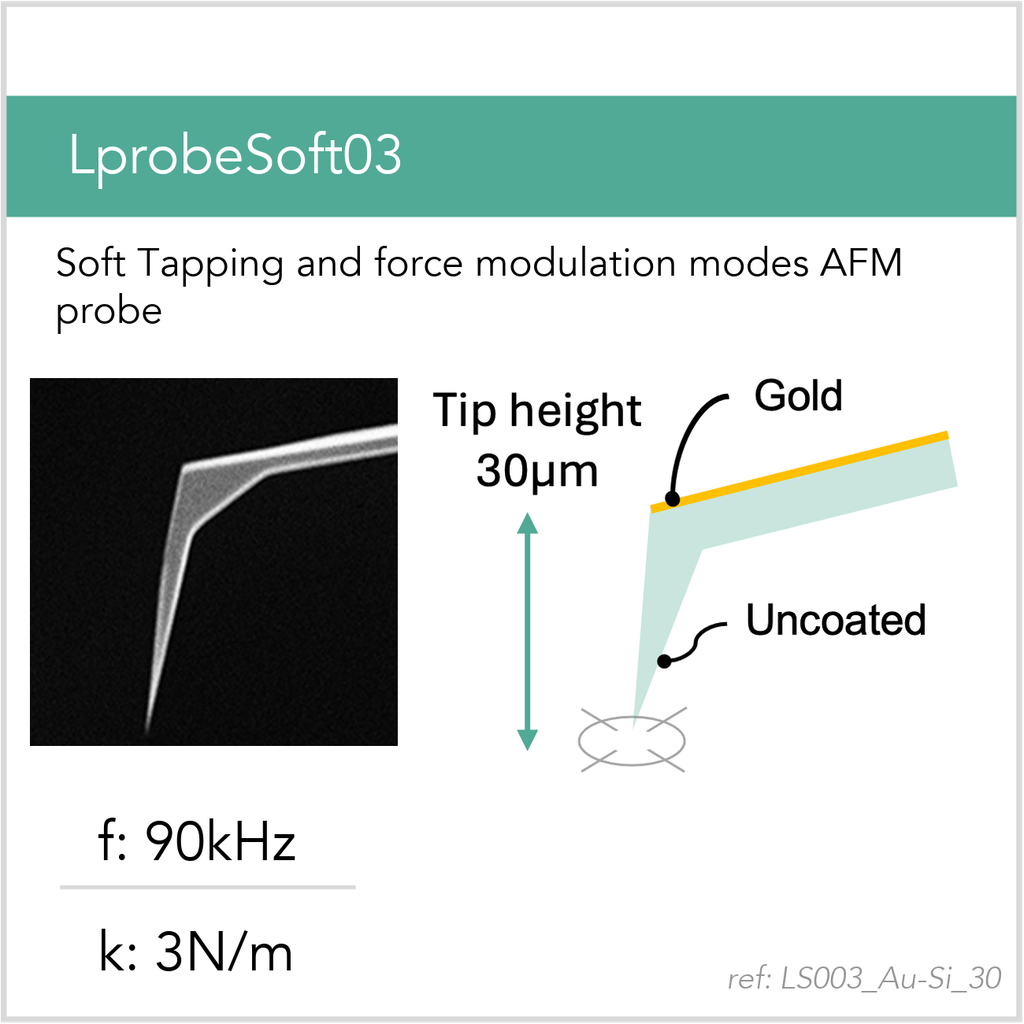 [LS003_Au-Si_30_GB10] LprobeSoft03 Au-Si (GB10)