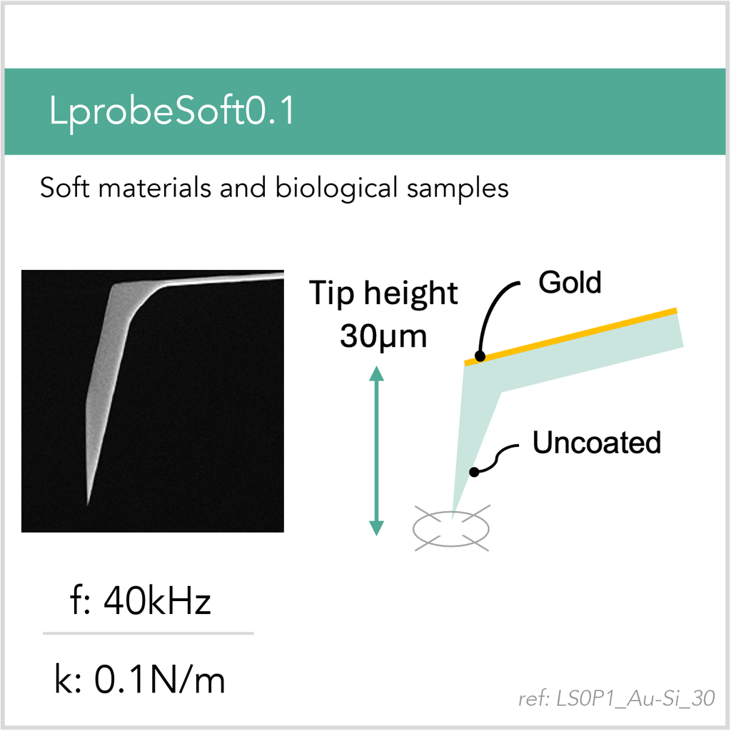 [LS0P1_Au-Si_30_GB10] LprobeSoft0.1 Au-Si (GB10)
