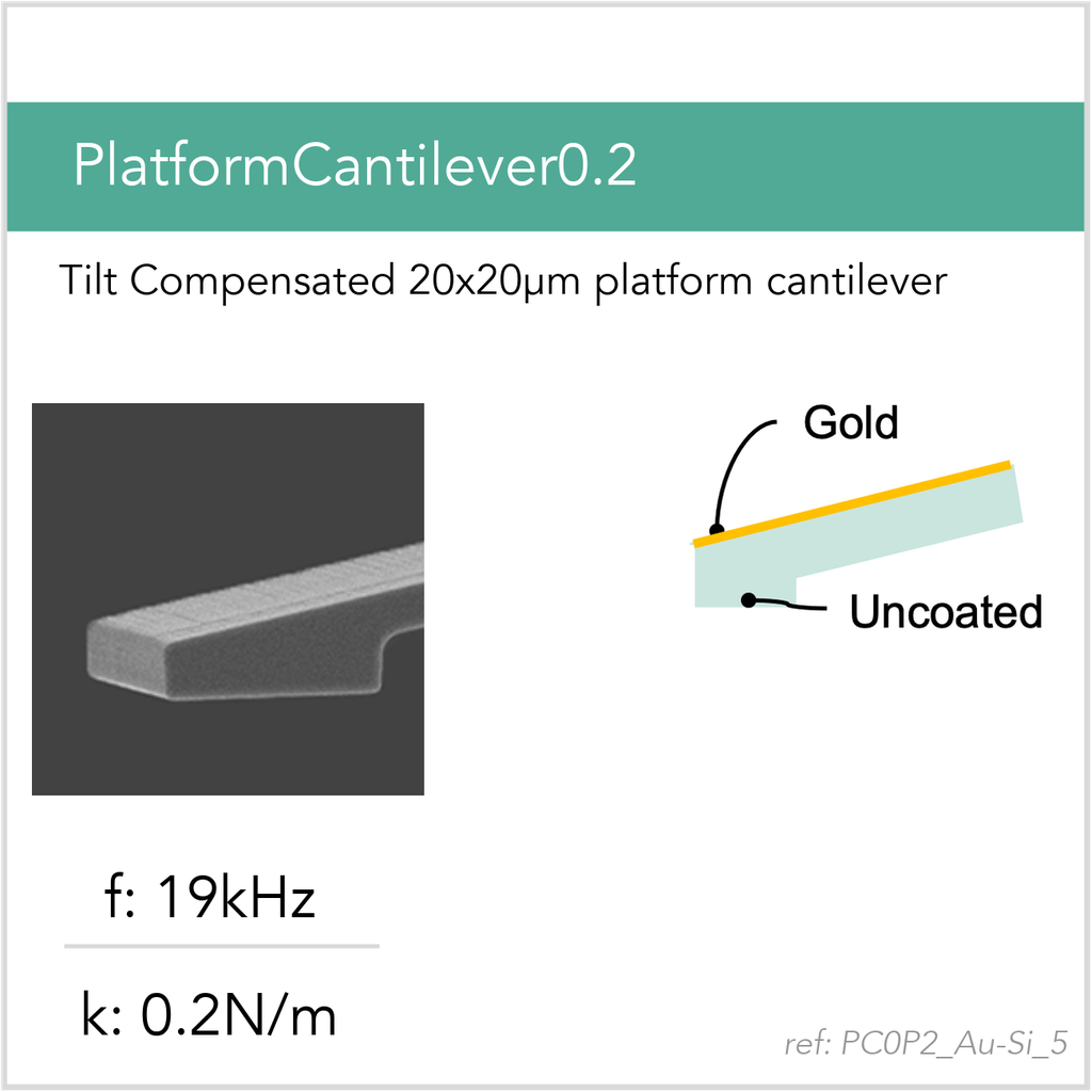 [PC0P2_Au-Si_5_GB10] PlatformCantilever0.2 Au-Si (GB10)