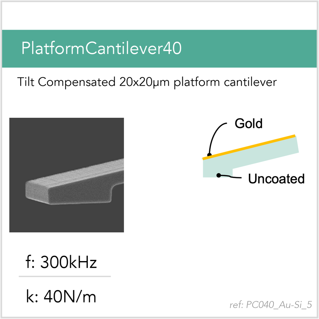 [PC040_Au-Si_5_GB10] PlatformCantilever40 Au-Si (GB10)