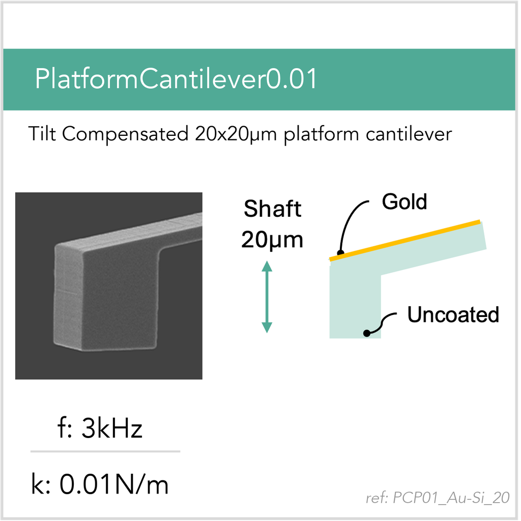 [PCP01_Au-Si_20_GB10] PlatformCantilever0.01 Au-Si (GB10)