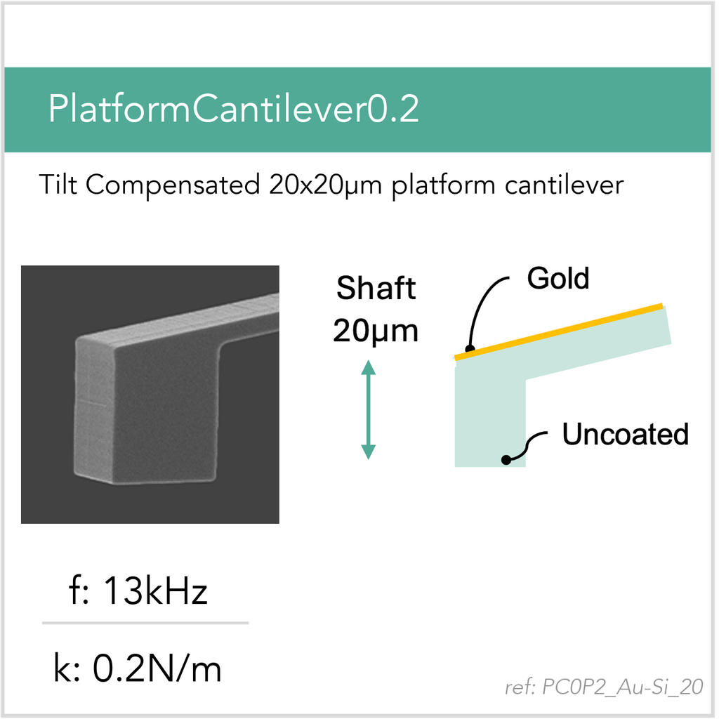 [PC0P2_Au-Si_20_GB10] PlatformCantilever0.2 Au-Si (GB10)