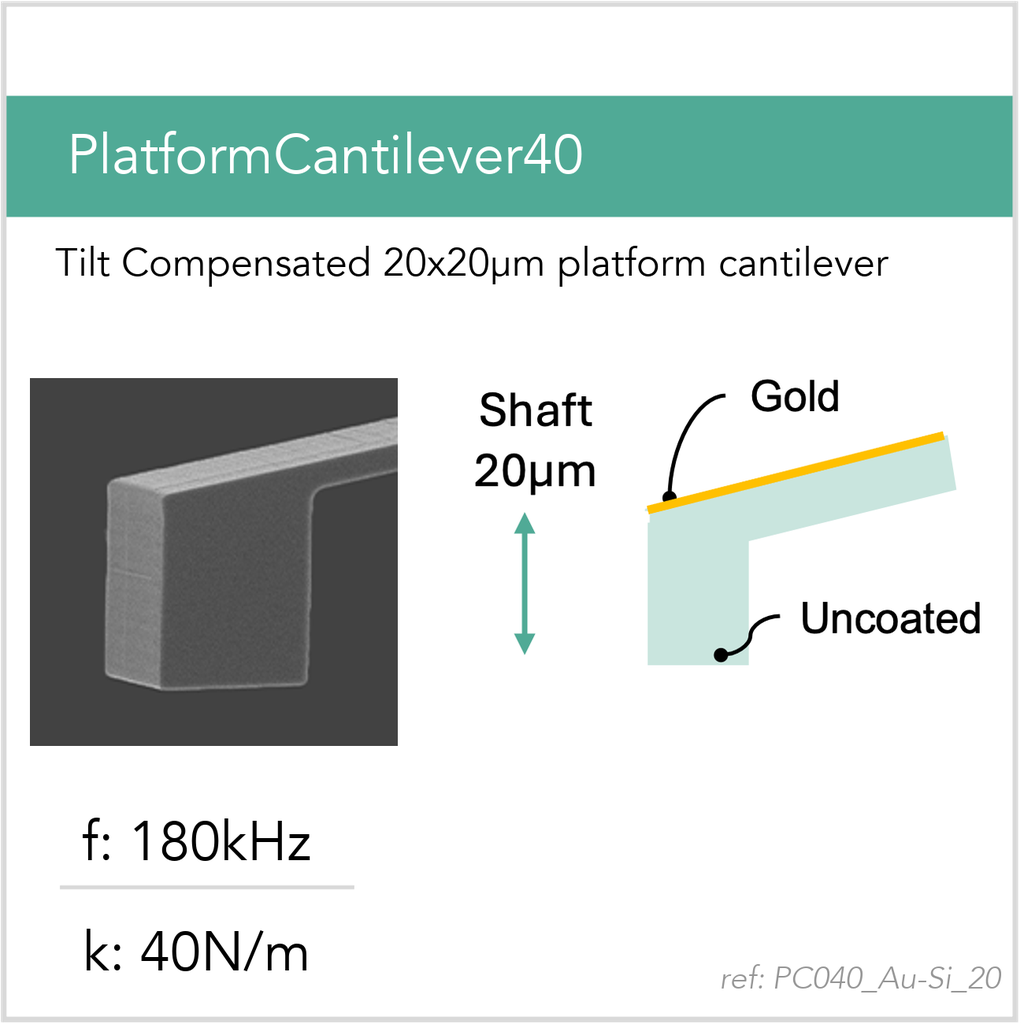 [PC040_Au-Si_20_GB10] PlatformCantilever40 Au-Si (GB10)