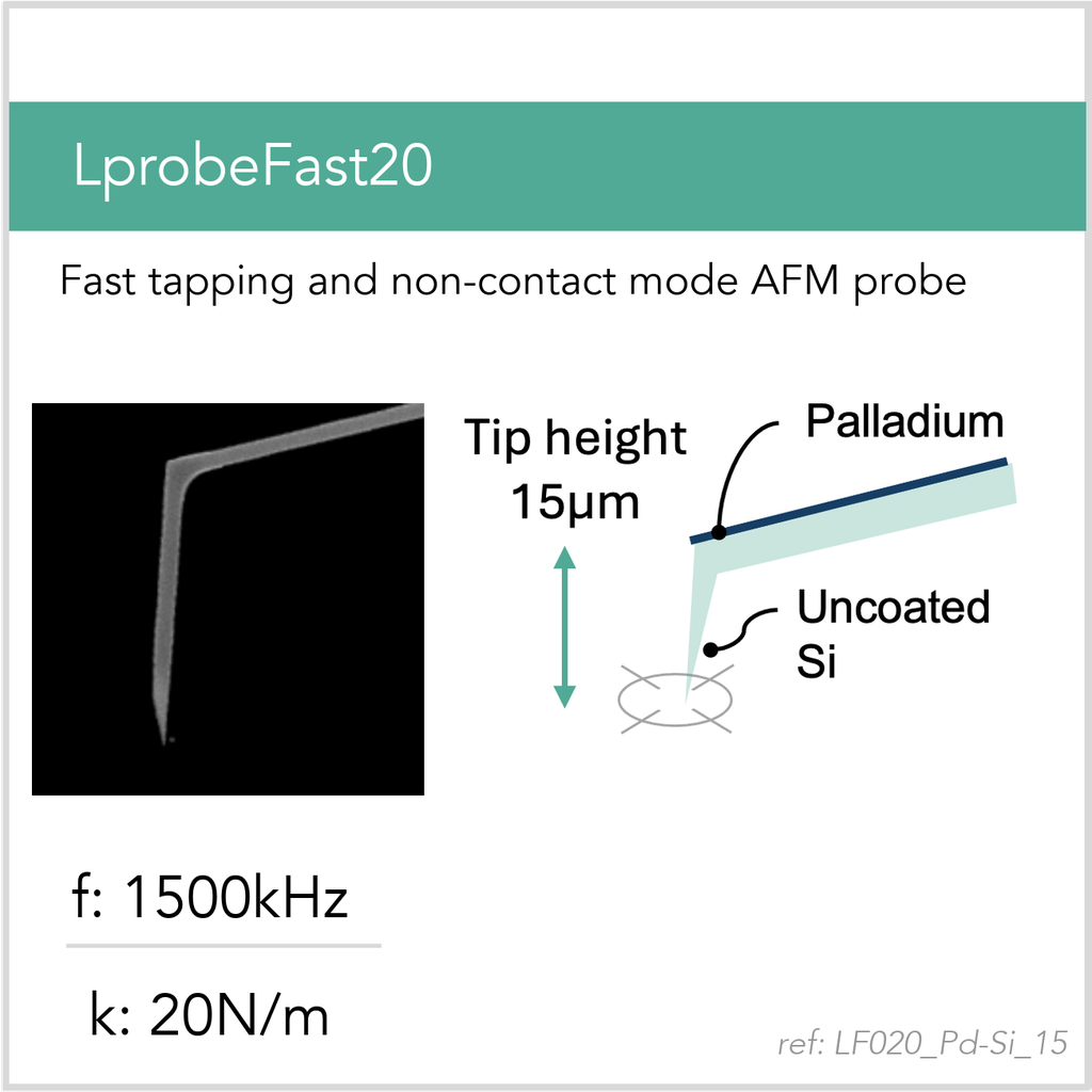 [LF020_Pd-Si_15_GB10] LprobeFast20 Pd-Si