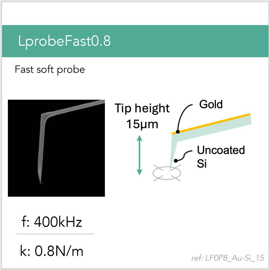 [LF0P8_Au-Si_15_GB10] LprobeFast0.8 Au-Si
