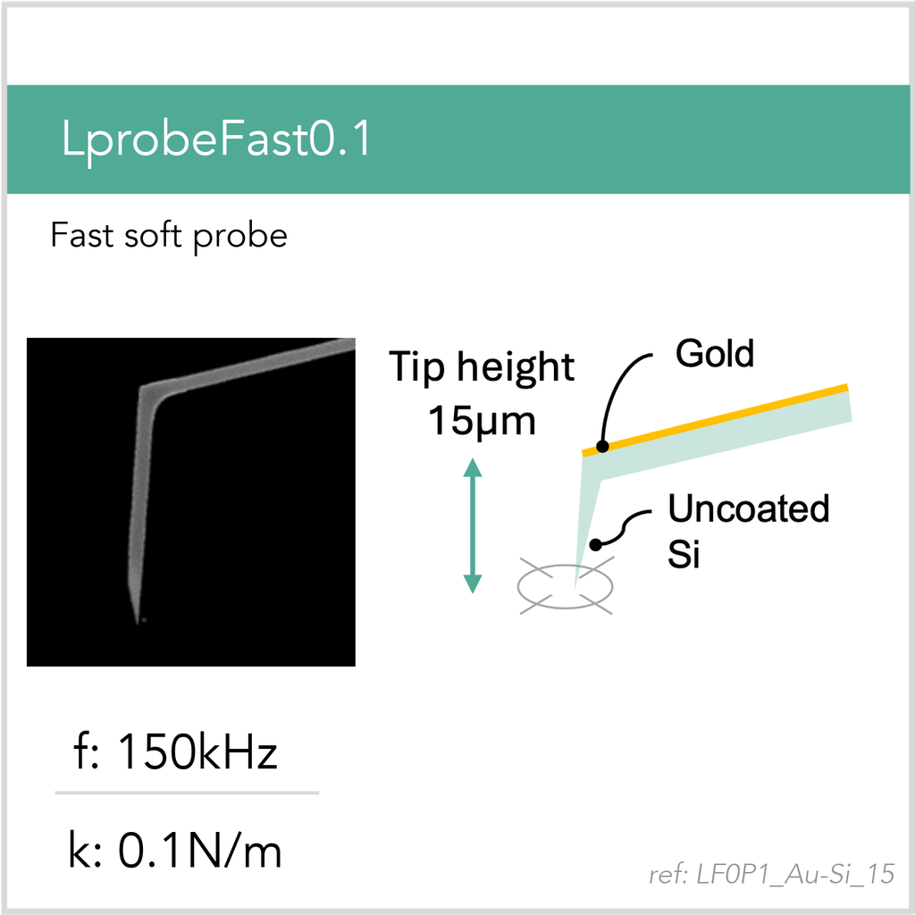 [LF0P1_Au-Si_15_GB10] LprobeFast0.1 Au-Si