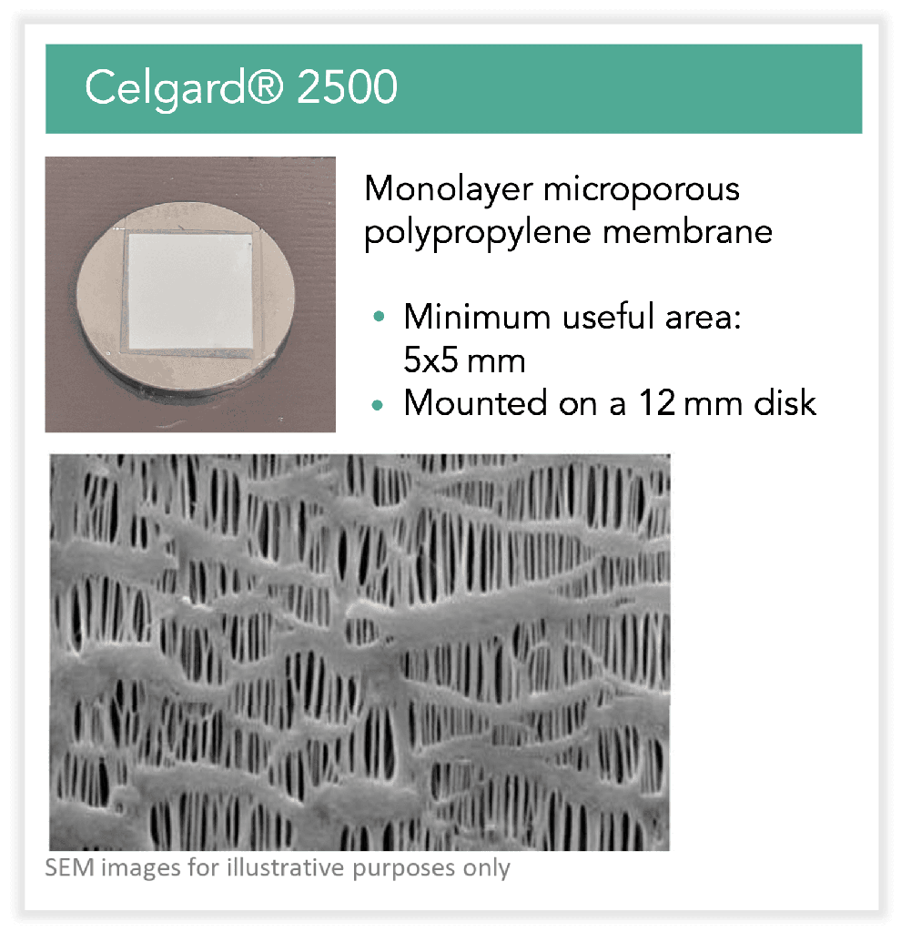 [sample01] Celgard 2500 on 12mm AFM disk