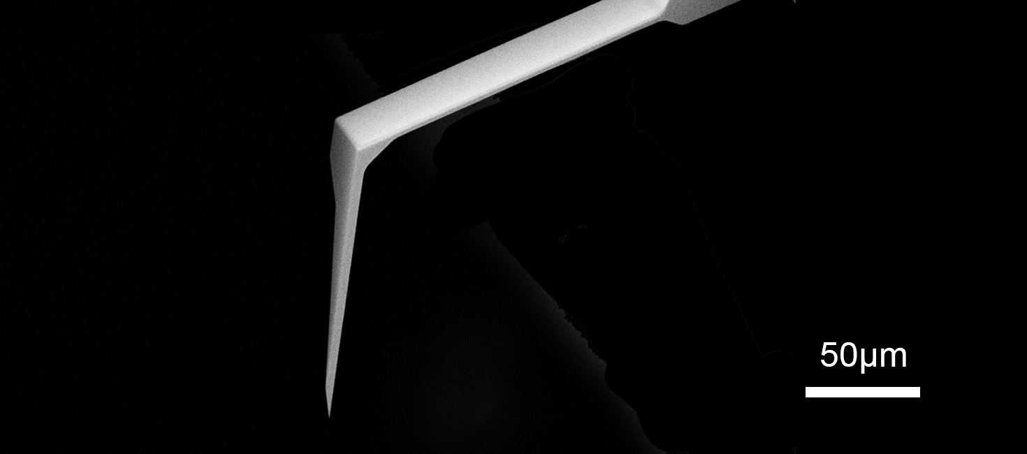 SEM full-view image of Vmicro LT020 Al-Si 100 AFM probe showing complete probe geometry