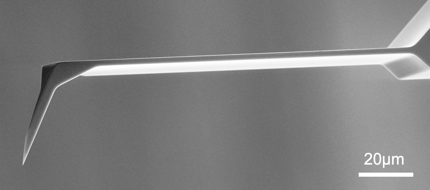 SEM full-view image of Vmicro LT040 Pt-Pt 30 AFM probe showing complete probe geometry