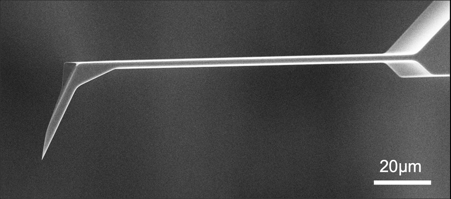 SEM full-view image of Vmicro LT020 Pt-Pt 30 AFM probe showing complete probe geometry
