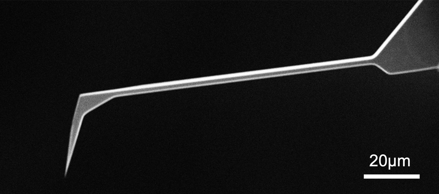 SEM full-view image of Vmicro TE003 A2-A2 30 AFM probe showing complete probe geometry