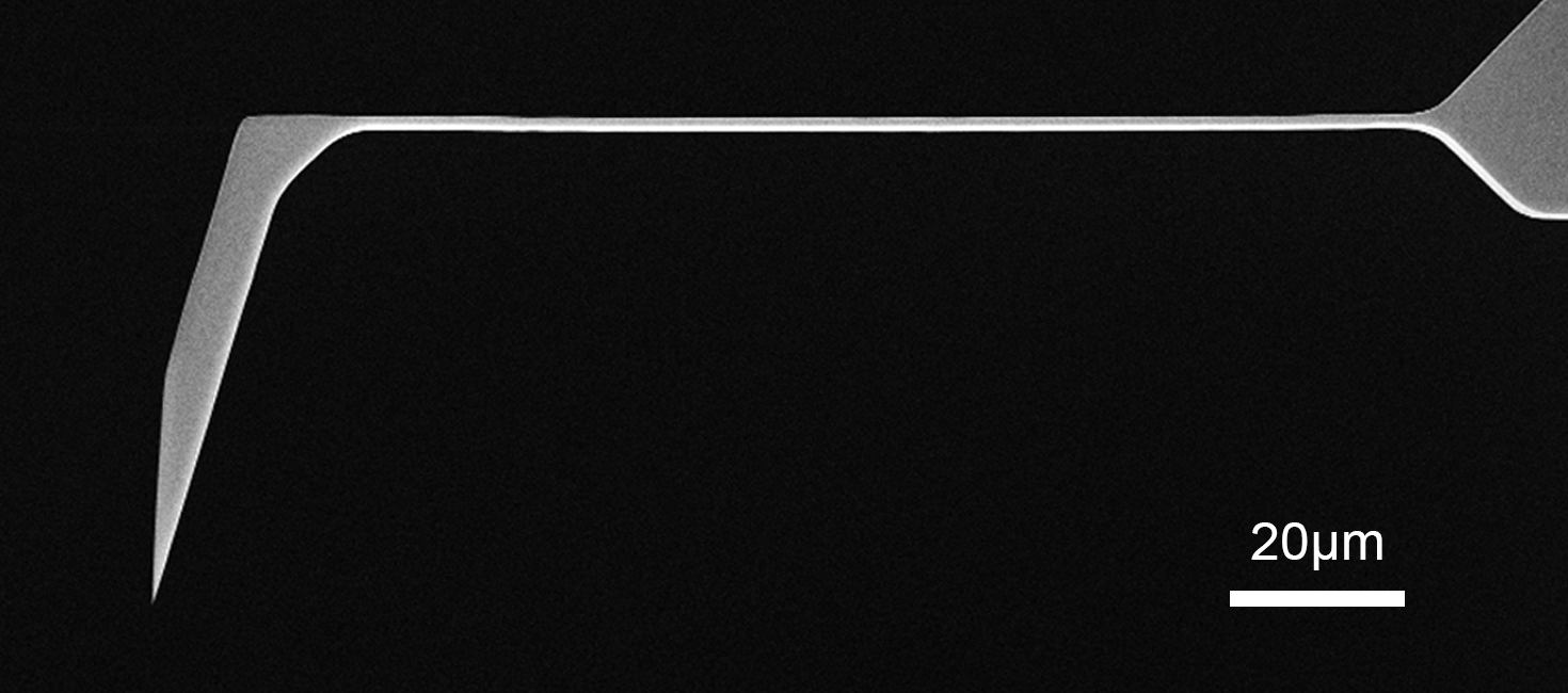 SEM full-view image of Vmicro LS0P1 Si-Si 30 AFM probe showing complete probe geometry