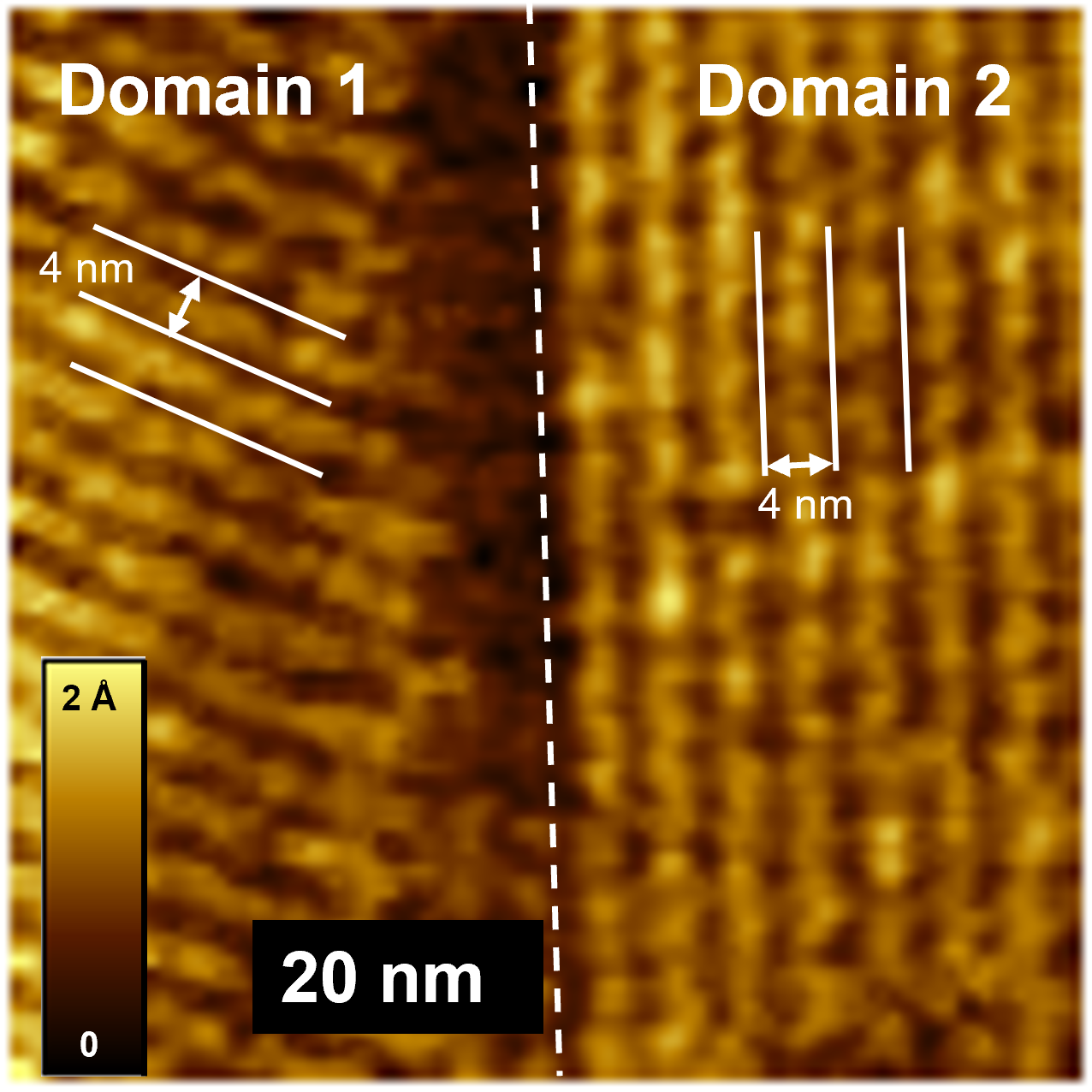 Palmityl palmitate on HOPG